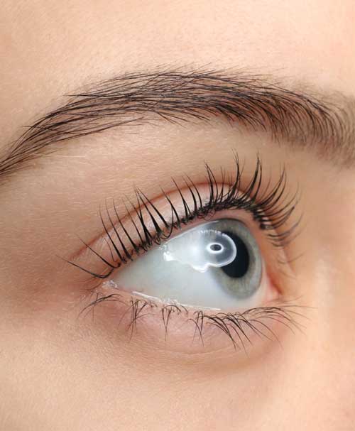 eyelash_lamination